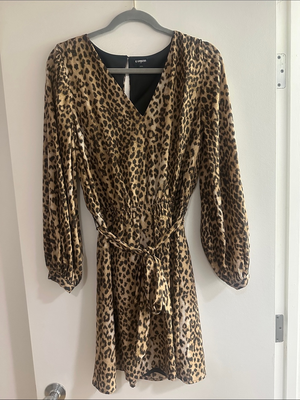Express Leopard Print V-Neck Mini Dress
